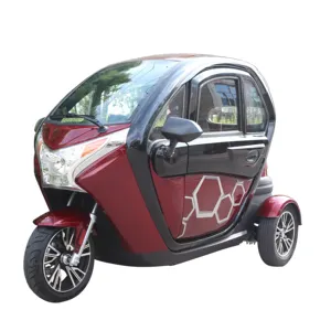 Canadá inverno triciclo elétrico fechado com aquecedor elétrico trike 1000w 24 tubos controlador sem escova