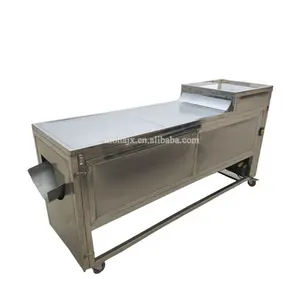 Small Scale Dry Date Processing Equipment Plant Brush Dates Palm Cleaning Polishing Machine price