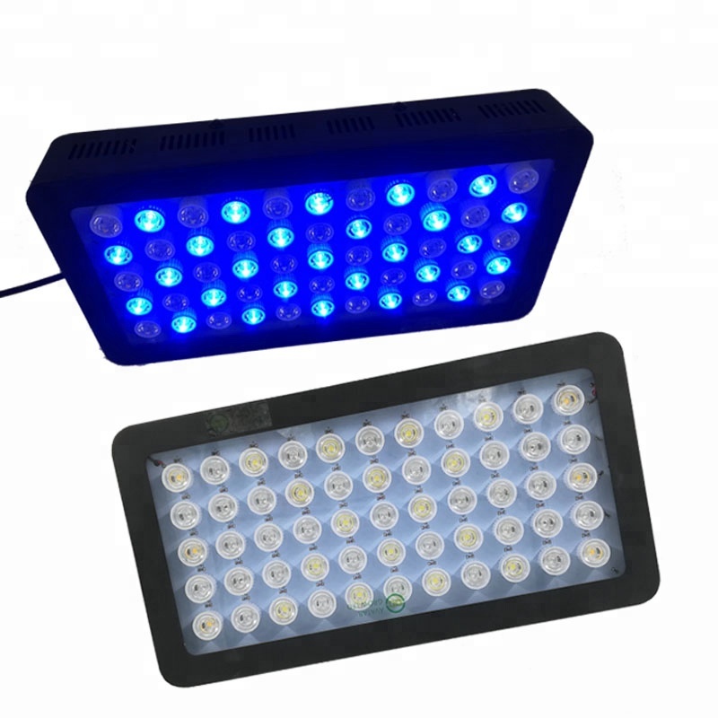 165W LED Aquarium Lights - Efficient Coral Reef Solutions