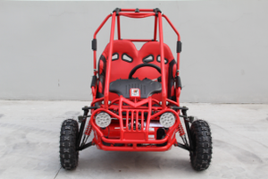 Popular cheap 2 seat racing <strong>go</strong> <strong>kart</strong> accessories <strong>163cc</strong> 4 stroke for kids sw rear disc brake auto clutch - Product Image 4