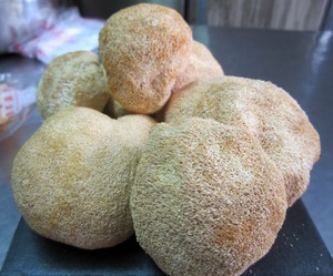 Detan सुपर प्रीमियम बनाने का कारखाना सूखे Hericium Erinaceus मशरूम - Product Image 6