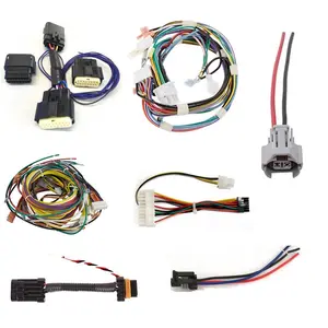 Car/motorcycle Wiring Harness Cable Assembly and Wire Harness Molex tyco JST housing loom cable with various types of tube