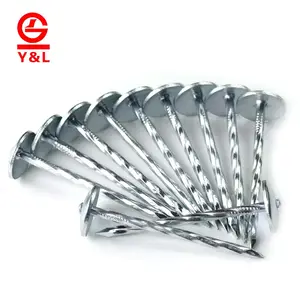 Galvanized Umbrella Roofing Nails Umbrella Head Plain And Twisted Galvanized Coiled Coil Roofing Nail Price