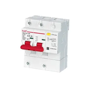 QJC OEM ODM Best Brand DZ47LE-100 D Type 63A High Segmentation Residual Current Operated Circuit Breaker 2 Pole ELCB