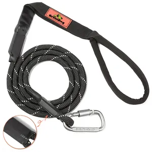 Custom Wholesale Reflective Mountain Climbing Rope Dog Leash with Carabiner