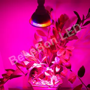 Vegetal indoor, Flor, Vermelho comprimento de onda de luz 12 W levou crescer holofotes