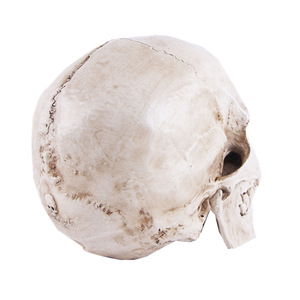 Crânes en résine d'Halloween pour la décoration - Product Image 3