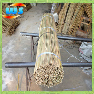 Las materias primas/granja productos/bambú estaca con el apoyo de apple el crecimiento del árbol - Product Image 1