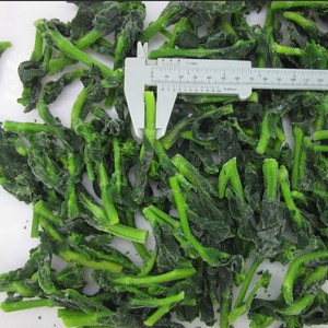 Fábrica China de flores de Rape congeladas cultivadas en <span class=keywords><strong>verduras</strong></span> <span class=keywords><strong>IQF</strong></span> - Product Image 5