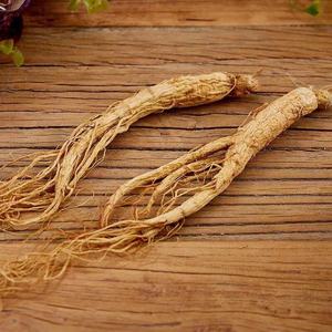 Sampel Gratis Pembeli Organik Akar Ginseng Jilin Ginseng - Product Image 3
