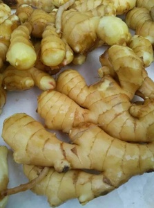 Gừng Tươi Trung Quốc Vụ Mùa Mới Với Tiêu Chuẩn Xuất Khẩu - Product Image 3