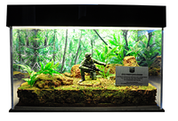 Boîte d'affichage LED RGB en acrylique personnalisée en gros pour usine, présentoir de jouets avec prise d'alimentation pour vitrine de vente au détail