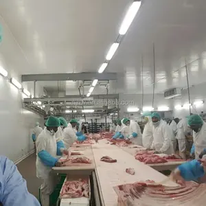 Vlees snijden conveyor roller voor varkensvlees verwerkingsbedrijf