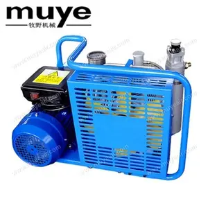 Haute pression électrique pcp 4500 psi 100L/min 300Bar Plongée compresseur D'air Portable