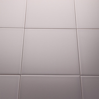 Carrelage de sol, rainure en forme de nuage, pour sublimation, 8x8 pouces, 20x20cm, provenant de bangkok, en thaïlande