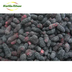 Delicious Frozen Mulberry And Frozen Fruits From Direct Factory