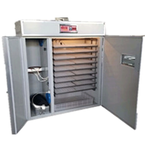 SSD-2112 kỹ thuật số gà trứng lồng ấp <span class=keywords><strong>hatcher</strong></span> tự động <span class=keywords><strong>Setter</strong></span> và <span class=keywords><strong>hatcher</strong></span> kết hợp cho gà tây và bò sát chăm sóc 220V điện áp - Product Image 1