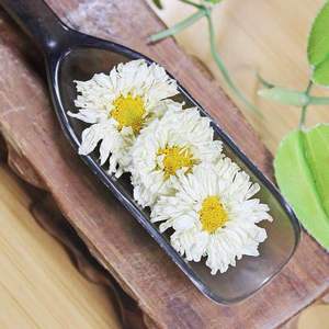 Factory Price Tea Bag <strong>Chrysanthemum</strong> Flavor <strong>Chrysanthemum</strong> Flower <strong>Seeds</strong> - Product Image 3