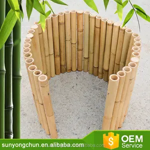 China ursprüngliche anlage kurze unebenen dekorieren bambus kanten canes günstige