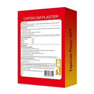 Capsicum Patches Capsicum Pain Relief Pads Benefits Porous Capsicum Plaster