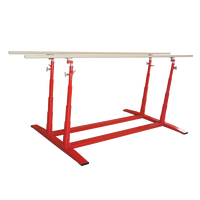 Barres parallèles de gymnastique pour adultes Équipement d'entraînement intérieur utilisé pour le sport à vendre