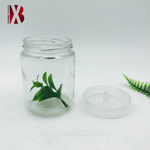 Botellas de plástico ecológico para cultivo de plantas, contenedor ecológico de 240ml, gran oferta - Product Image 2