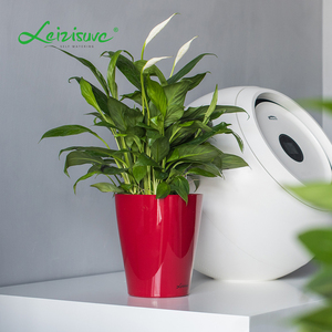 Leizisure-<span class=keywords><strong>maceta</strong></span> de plástico para plantas, minimacetas cuadradas de cerámica para macetas de orquídeas, venta al por mayor - Product Image 3