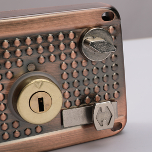 Bán Hot Tùy Chỉnh 311 Brass Cylinder Keylock 6 Phím Máy Tính Rim Khóa - Product Image 5