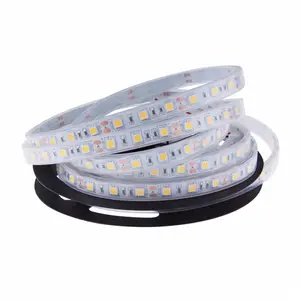 Silicon Lijm Waterdichte Strip IP68 Onderwater Striplight Zwembad Led Verlichting