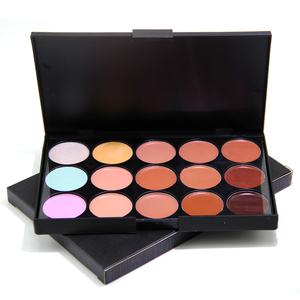 Palette de maquillage professionnelle de camouflage et de contouring pour le visage, 15 couleurs, avec pinceau ovale de qualité supérieure - Product Image 1