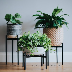 Super <span class=keywords><strong>septembre</strong></span>, présentoir de jardin/fleuriste, étagère <span class=keywords><strong>en</strong></span> métal, support pour plantes, pot de <span class=keywords><strong>fleurs</strong></span> - Product Image 2