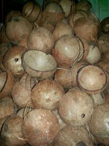 Carbón de cáscara de coco natural para una purificación efectiva - Product Image 1