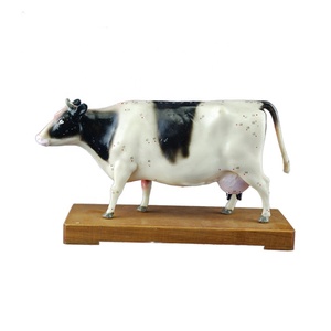 Modèle d'anatomie animale avancé en plastique pour l'acupuncture, modèle de corps animal pour l'acupuncture, modèle de vache pour l'acupuncture - Product Image 4