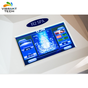 H2 anyon jeneratörü ayak banyosu/vücut detoks uzakta makine elektronik akupunktur - Product Image 2