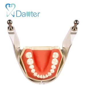 Migliore Qualità Dentale Articolatore Dentale <span class=keywords><strong>Phantom</strong></span> Testa di Manichino per la Vendita - Product Image 4