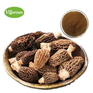 Ekstrak Morchella Esculenta Organik, Bubuk Morchella Esculenta Ekstrak Jamur Morel