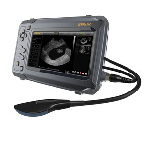 <span class=keywords><strong>Ganado</strong></span> lechero, bovinos, equinos, camello, ovinos uso BestScan S6 anti-glare pantalla táctil Veterinarios Ultrasonido Portátil - Product Image 3