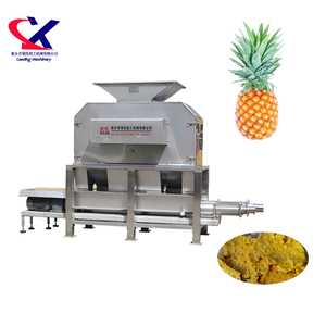 Línea de producción profesional de jugo de piña para extraer jugo - Product Image 1