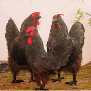 Wholesale yellow plush chicken feather decorations - Product Image 5