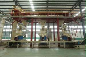 ROTEXMASTER — Machine à <span class=keywords><strong>granulés</strong></span> de <span class=keywords><strong>bois</strong></span> 3.0-4.0 T/H, appareil à <span class=keywords><strong>granulés</strong></span> de gelée avec <span class=keywords><strong>prix</strong></span> d'usine - Product Image 5