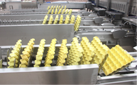 Machine de triage des œufs automatique, pour montage automatique, aliments