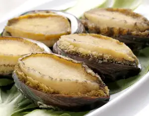 Factory Supply Blik Abalone In Live Grondstof