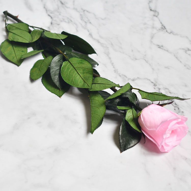 Rosa Conservata Rosa Eterna Vera - Regalo Per Lei, San Valentino O Festa Della Mamma Fiori Stabilizzati Veri
