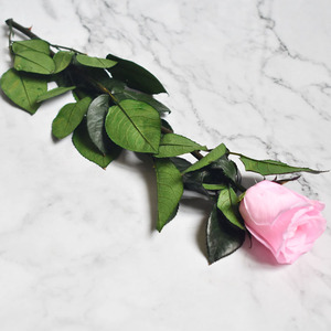 Commercio all'ingrosso un grado conservato immortale stelo singolo rosa in scatola rotonda rose eterne scatola di rose preservate