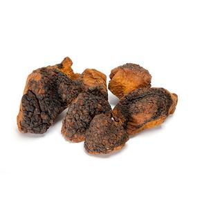 Hongo <span class=keywords><strong>Chaga</strong></span> Entero Seco Natural, Hongo Cinder Conk de Abedul, Proveniente de Bosques Silvestres - Product Image 4