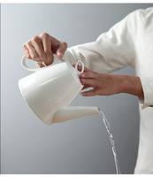 Théière en porcelaine personnalisée, théières turques en céramique pour la maison et les restaurants