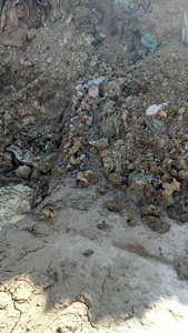 40Ton 대용량 폐기물 원유 슬러지 관리 열분해 공장 - Product Image 5