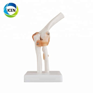 ข้อต่อหัวเข่าสำหรับร่างกายมนุษย์ทำจาก <span class=keywords><strong>PVC</strong></span> ขนาดเท่า104 - Product Image 2