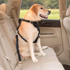 Perro ajustable cinturón de gato de <span class=keywords><strong>seguridad</strong></span> lleva arnés vehículo mascotas asiento de coche cinturón de <span class=keywords><strong>seguridad</strong></span> cinturón de arnés - Product Image 2