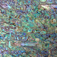 Plaques de coquille d'ormeau vert Paua, stratifié naturel de coquille d'ormeau Paua